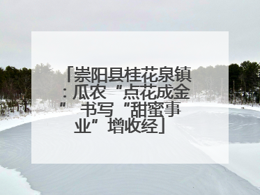 崇阳县桂花泉镇：瓜农“点花成金” 书写“甜蜜事业”增收经