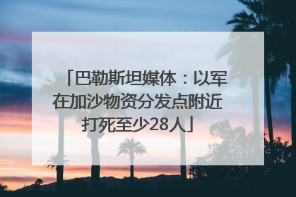 巴勒斯坦媒体：以军在加沙物资分发点附近打死至少28人