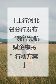工行河北省分行发布“数智领航 赋企惠民”行动方案