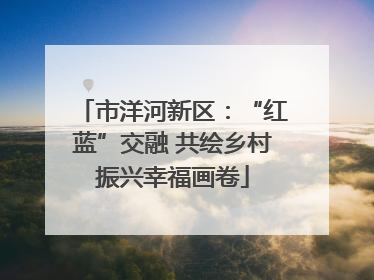 市洋河新区：“红蓝”交融 共绘乡村振兴幸福画卷