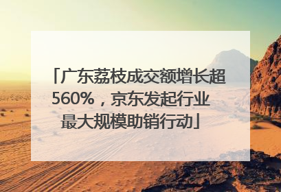 广东荔枝成交额增长超560%，京东发起行业最大规模助销行动