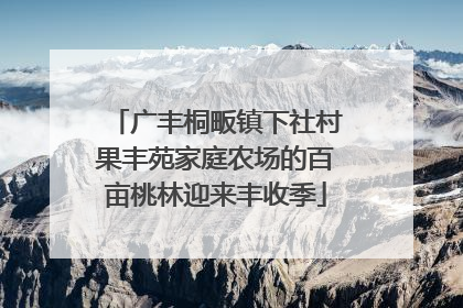 广丰桐畈镇下社村果丰苑家庭农场的百亩桃林迎来丰收季
