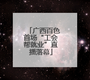广西百色首场“工会帮就业”直播落幕