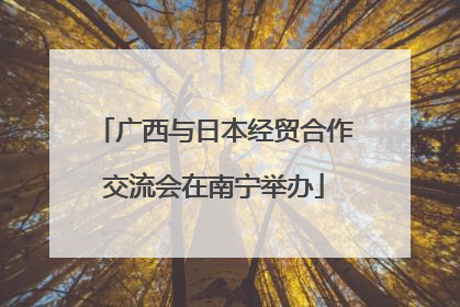 广西与日本经贸合作交流会在南宁举办