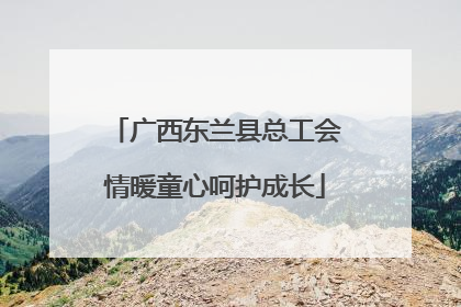 广西东兰县总工会情暖童心呵护成长