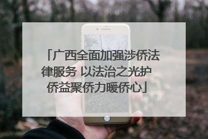 广西全面加强涉侨法律服务 以法治之光护侨益聚侨力暖侨心