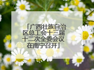 广西壮族自治区总工会十三届十二次全委会议在南宁召开