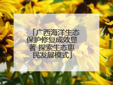 广西海洋生态保护修复成效显著 探索生态惠民发展模式