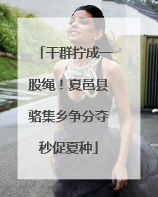 干群拧成一股绳！夏邑县骆集乡争分夺秒促夏种