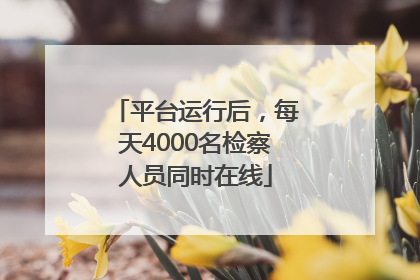 平台运行后，每天4000名检察人员同时在线
