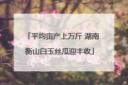 平均亩产上万斤 湖南衡山白玉丝瓜迎丰收