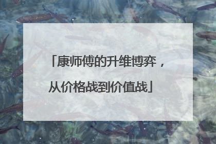 康师傅的升维博弈，从价格战到价值战