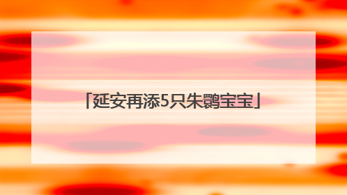 延安再添5只朱鹮宝宝