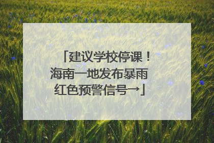 建议学校停课！海南一地发布暴雨红色预警信号→