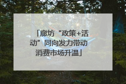 廊坊“政策+活动”同向发力带动消费市场升温