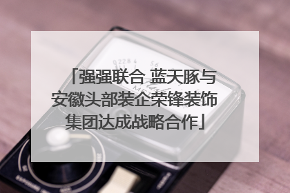 强强联合 蓝天豚与安徽头部装企荣锋装饰集团达成战略合作