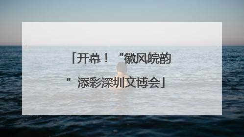 开幕！“徽风皖韵”添彩深圳文博会