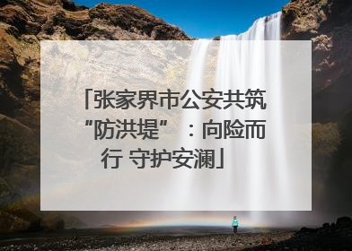 张家界市公安共筑“防洪堤”：向险而行 守护安澜