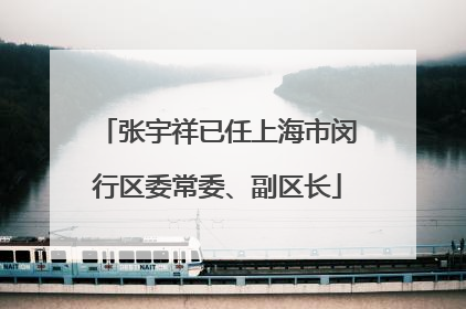 张宇祥已任上海市闵行区委常委、副区长