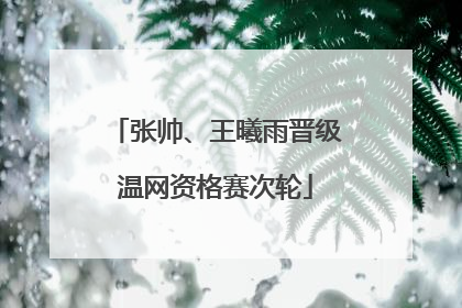 张帅、王曦雨晋级温网资格赛次轮
