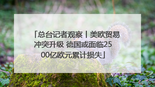 总台记者观察丨美欧贸易冲突升级 德国或面临2500亿欧元累计损失