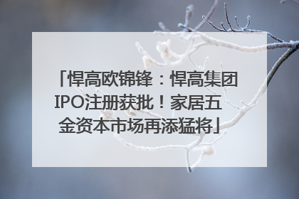悍高欧锦锋：悍高集团IPO注册获批！家居五金资本市场再添猛将