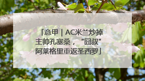 意甲｜AC米兰炒掉主帅孔塞桑，“囧叔”阿莱格里重返圣西罗