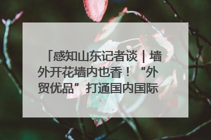 感知山东记者谈｜墙外开花墙内也香！“外贸优品”打通国内国际市场“旋转门”