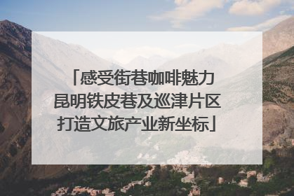 感受街巷咖啡魅力 昆明铁皮巷及巡津片区打造文旅产业新坐标