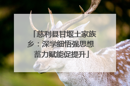 慈利县甘堰土家族乡：深学细悟强思想 蓄力赋能促提升