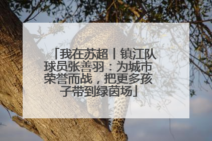 我在苏超丨镇江队球员张善羽：为城市荣誉而战，把更多孩子带到绿茵场