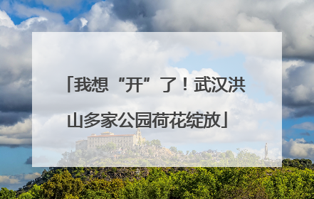 我想“开”了！武汉洪山多家公园荷花绽放