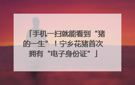 手机一扫就能看到“猪的一生”！宁乡花猪首次拥有“电子身份证”