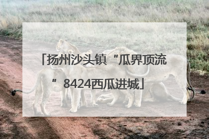 扬州沙头镇“瓜界顶流”8424西瓜进城