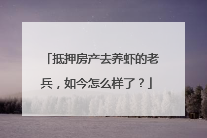 抵押房产去养虾的老兵，如今怎么样了？