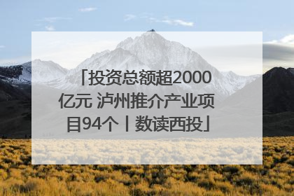 投资总额超2000亿元 泸州推介产业项目94个丨数读西投