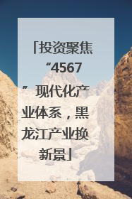 投资聚焦“4567”现代化产业体系，黑龙江产业换新景