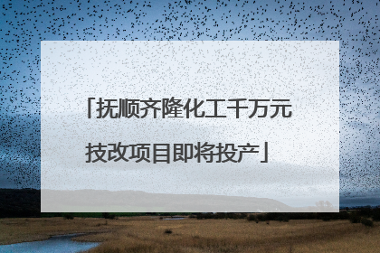 抚顺齐隆化工千万元技改项目即将投产