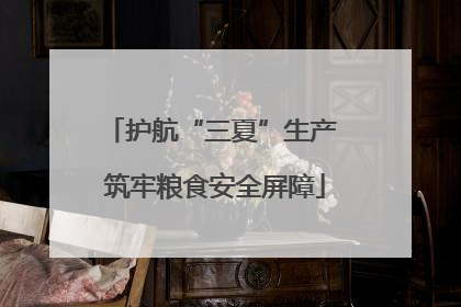 护航“三夏”生产 筑牢粮食安全屏障