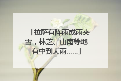 拉萨有阵雨或雨夹雪，林芝、山南等地有中到大雨……