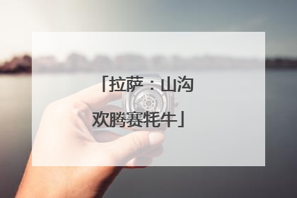 拉萨：山沟欢腾赛牦牛
