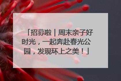 招募啦｜周末亲子好时光，一起奔赴春光公园，发现环上之美！