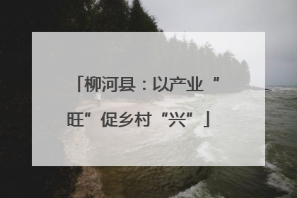 柳河县：以产业“旺”促乡村“兴”