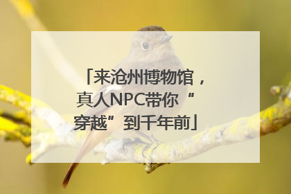 来沧州博物馆，真人NPC带你“穿越”到千年前