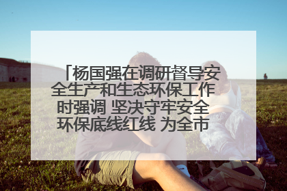 杨国强在调研督导安全生产和生态环保工作时强调 坚决守牢安全环保底线红线 为全市经济社会高质量发展提供坚强保障