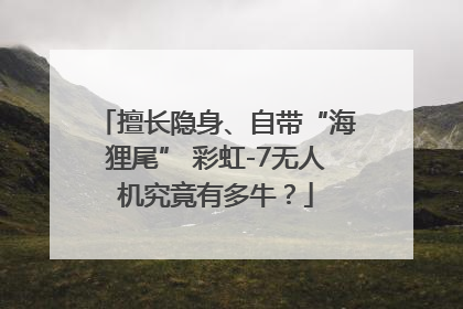 擅长隐身、自带“海狸尾” 彩虹-7无人机究竟有多牛？