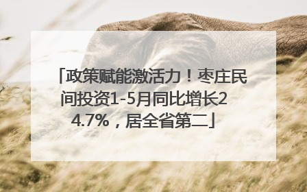 政策赋能激活力！枣庄民间投资1-5月同比增长24.7%，居全省第二