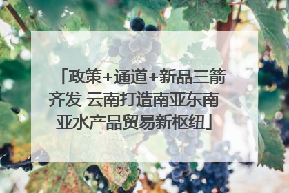 政策+通道+新品三箭齐发 云南打造南亚东南亚水产品贸易新枢纽
