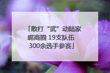 散打“武”动陆家嘴商圈 19支队伍300余选手参赛