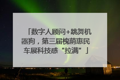 数字人顾问+跳舞机器狗，第三届槐荫惠民车展科技感“拉满”